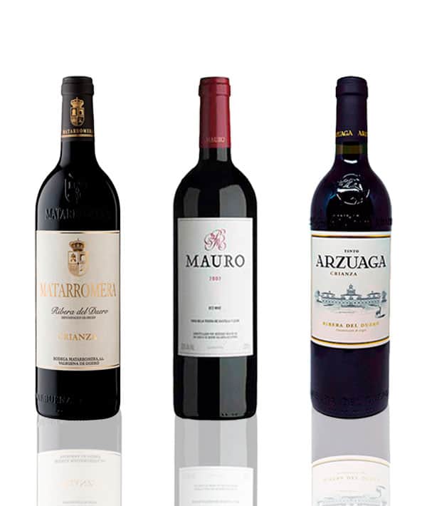 Selección de vinos tintos Superclásicos Ribera Terravino
