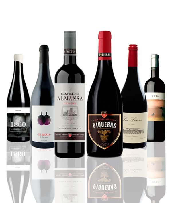 Selección de vinos tintos manchegos Terravino