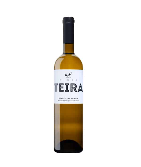 Vino blanco Finca Teira 2022 Terravino