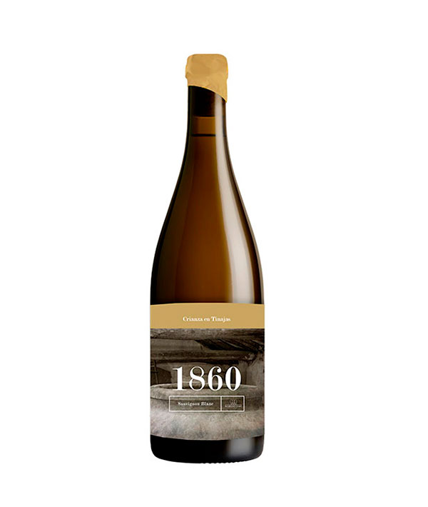 Vino blanco 1860 Sauvignon Blanc 2022 Terravino