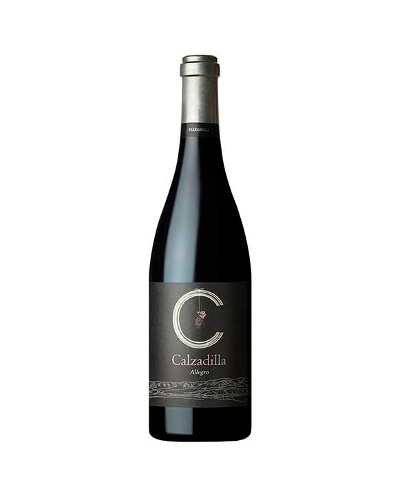 Calzadilla Allegro Syrah 2018