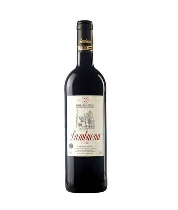 Lambuena Roble 2023