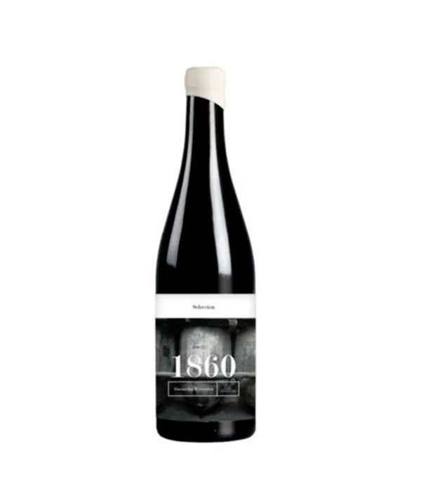 1860 Selección 2020